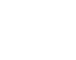 braindate-logo-cuadrado